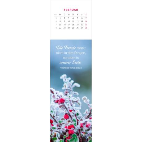 Lesezeichenkalender Glücksmomente für die Seele 2027
