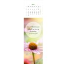 Lesezeichenkalender Glücksmomente für die Seele 2027
