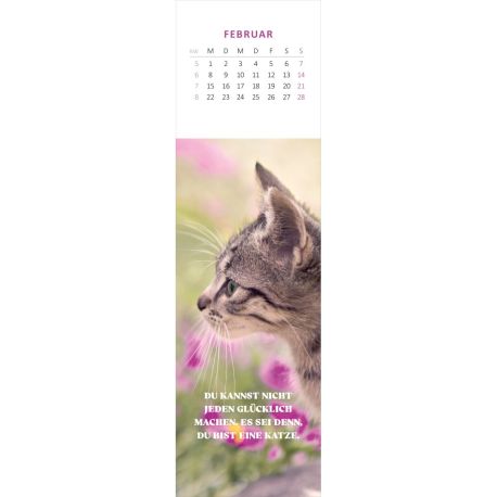 Lesezeichenkalender Katzenglück 2027