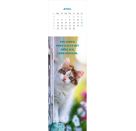 Lesezeichenkalender Katzenglück 2027