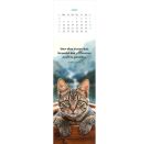 Lesezeichenkalender Katzenglück 2027