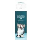 Lesezeichenkalender Katzenglück 2027