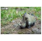3D Bastelset Nashorn