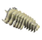 3D Bastelset Nashorn