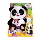 Little Live Pets - Mein Baby Panda