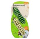 Expedition Natur Raupenrennen