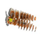3D Bastelset Eichhörnchen