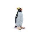 Goldschopfpinguin
