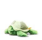 Tuggy Schildkroete 27 gruen