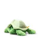 Tuggy Schildkroete 27 gruen