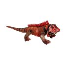 Roter Leguan