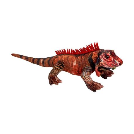 Roter Leguan