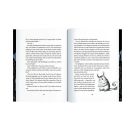 Die Schule der außergewöhnlichen Feen (Bd. 1) - Elvas magische Gabe