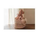 Rassel Blume Fairy Garden