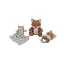 Little Dutch Geschenkset mit Plüschtier