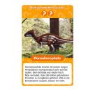 Ravensburger 22359 Wieso? Weshalb? Warum? Dinosaurier Quartett - Mitbringspiel mit detailreich gestalteten Karten zu s