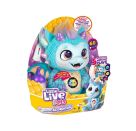 Moose Toys LITTLE LIVE PETS MY DREAM SINGLE PK DRAGON