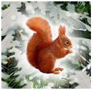 Weihnachtslaterne, A3 Wand-Adventskalender (Behr)