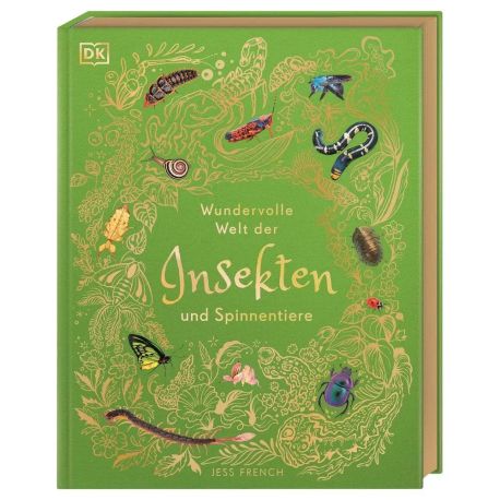 Wundervolle Welt der Insekten und Spinnentiere
