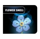 Revell Holzblumen Blossom Festival