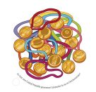 Fußball-Rätselspaß
