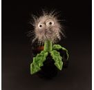 Thistle Twist, BeastsTown