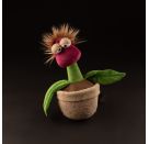 Office Orchid, BeastsTown