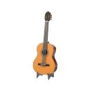 Metal Earth: Classical Guitar