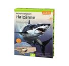 Expedition Natur Ausgrabungsset Haizähne