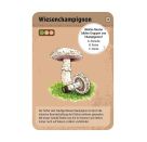 Expedition Natur 50 heimische Pilze