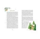 Die schönsten Wintermärchen - Illustrierte Schmuckausgabe