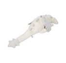 SNUKIS Plüschdrache weiß 65 cm