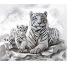 Diamond Painting Weiße Tigermama mit Jungtier 40x30 cm