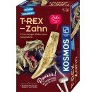 T-rex - Zahn