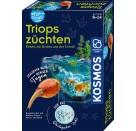 Fun Science Triops züchten