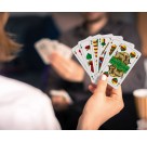 ASS Altenburger Spielkarten - Schafkopf / Tarock, bayrisches Bild