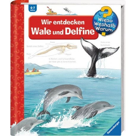 Ravensburger Buch - Wieso? Weshalb? Warum? - Wir entdecken Wale und Delfine