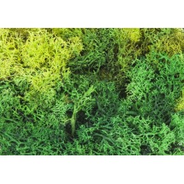 Faller - Islandmoos grün