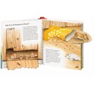 Ravensburger Buch - Wieso? Weshalb? Warum? - Junior - Wer lebt im Garten?