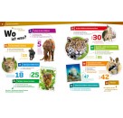 Tessloff - Was ist Was - Wilde Tiere. Lama, Tiger, Känguru, Band 13