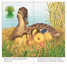 Ravensburger Bilderbuch - Ich bin die kleine Ente