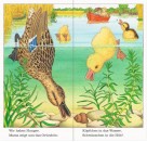 Ravensburger Bilderbuch - Ich bin die kleine Ente