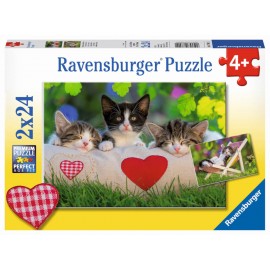 Ravensburger Puzzle - Verschlafene Kätzchen, 2x24 Teile