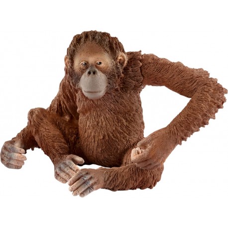 Schleich - World of Nature - Wild Life - Afrika - Orang-Utan Weibchen