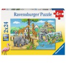 Ravensburger Puzzle - Willkommen im Zoo, 2x24 Teile