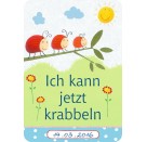 Coppenrath Verlag - Glücksmomente - Babys erstes Jahr (33 Fotokarten)