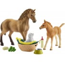 Schleich - Horse Club - Sarahs Tierbaby-Pflege