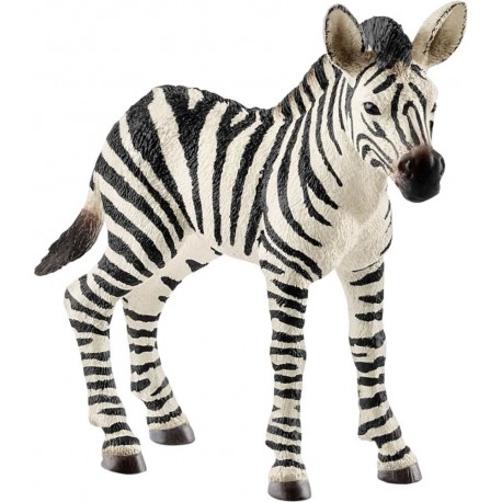 Schleich - World of Nature - Wild Life - Zebra Fohlen