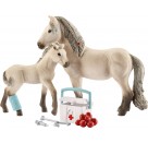 Schleich - Horse Club - Hannahs Erste-Hilfe-Set