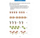 Vorschule: Zahlen entdecken